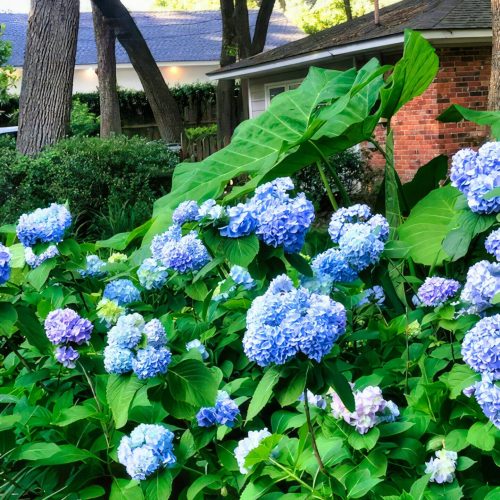 Landscape-design (15)